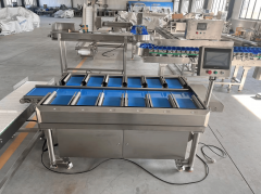 司研发的分量分选机采用动态称沉取视觉识别融