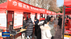 张湾区人社部分将保守的单一聘请会立异升级为